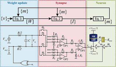 Probabilistic Circuits for Autonomous Learning: A Simulation Study